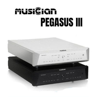 DAC MUSICIAN PEGASUS III R2R